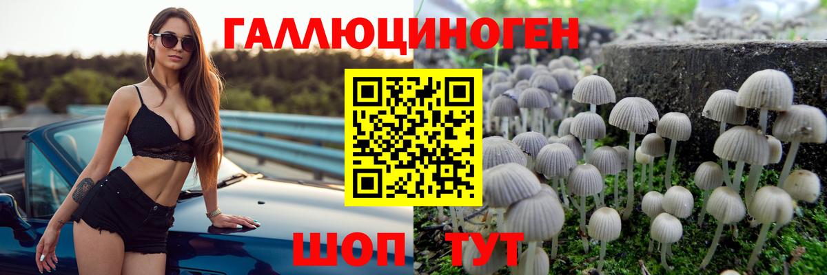 Псилоцибиновые грибы Magic Shrooms  Вход с VPN  Псилоцибиновые грибы MAGIC MUSHROOMS  Муравленко 