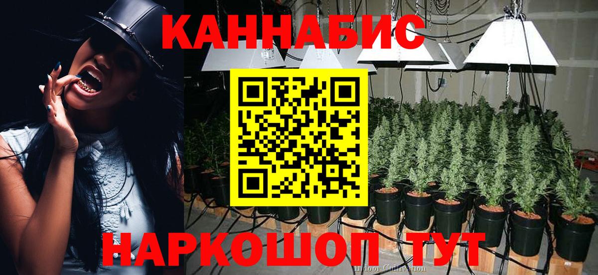 Шишки марихуана марихуана Муравленко